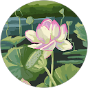 mara hanja mara hanja